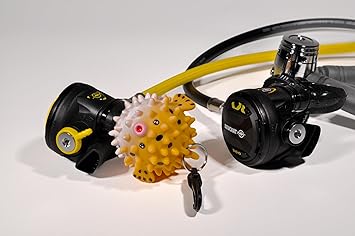 Porta Octopus Pesce Palla